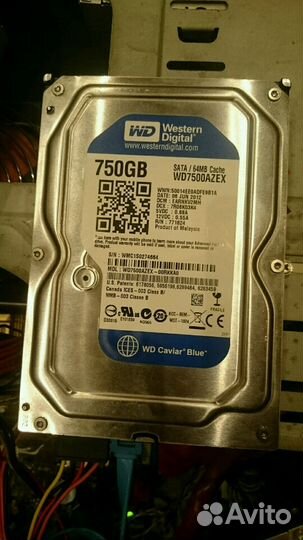 Жесткий диск hdd WD 3,5