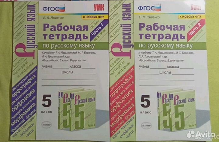 Рабочие тетради русский язык Ляшенко 5 класс