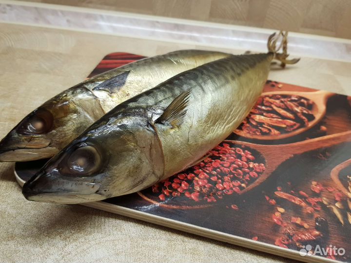 Скумбрия