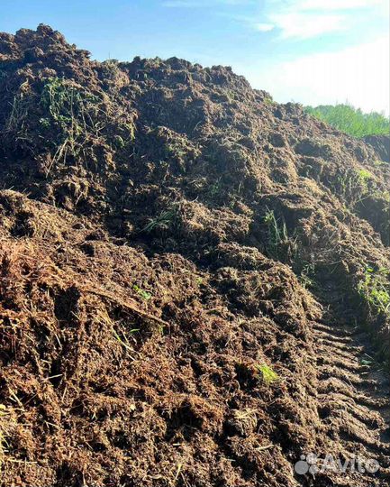 Навоз Перегной в день заказа