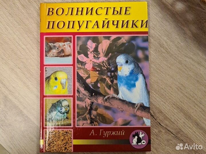 Книга о попугайчиках