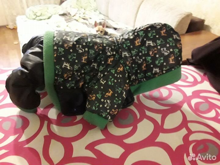 Костюм для собачки