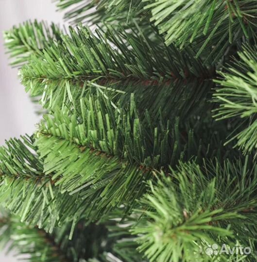 Ель под живую