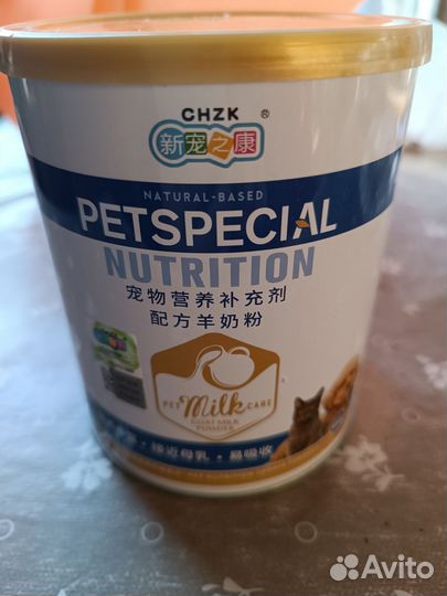 Домашние животные кошки