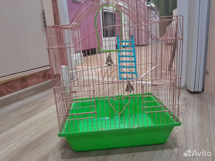 Клетка для джунгарского хомяка и попугая