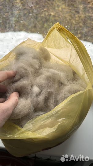 Собачья шерсть хаски