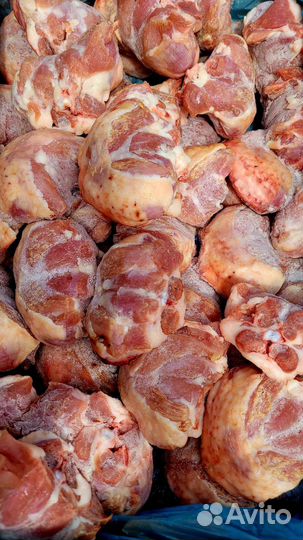 Гузка индейки