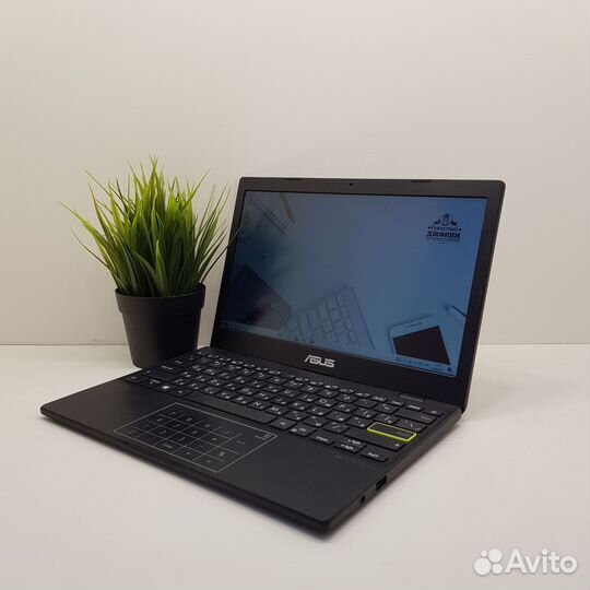 Ноутбук Asus Celeron/4Gb/SSD 64Gb