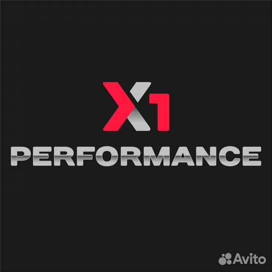 X1-performance Псковская обл. Чип тюнинг моторов