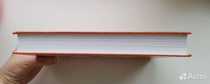 Айенгар Йога дипика