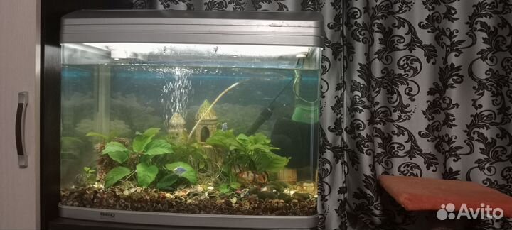 Аквариум