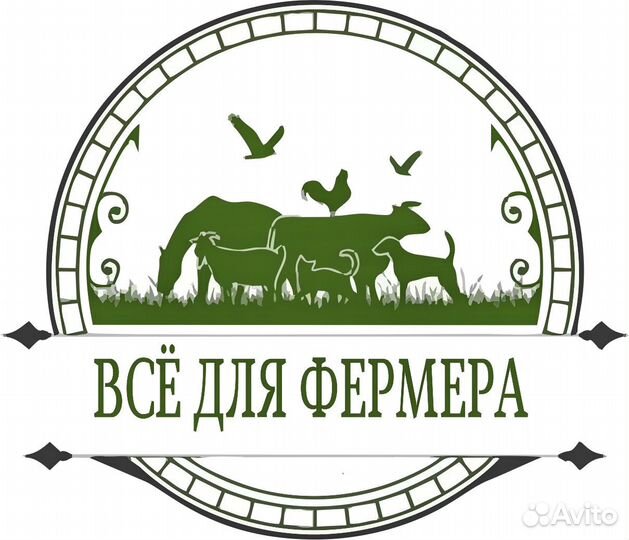 Водитель - экспедитор категории с