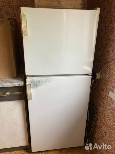 Холодильник Бирюса