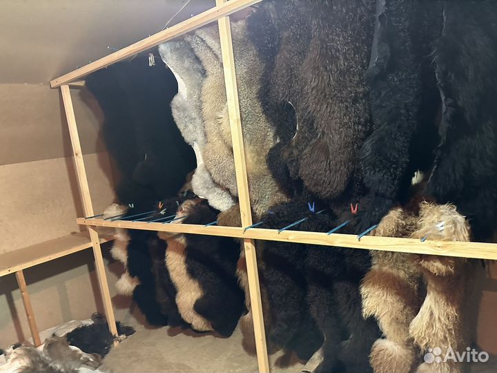 Овечья шкура натуральная