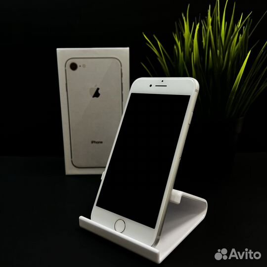 iPhone 8, 64 ГБ