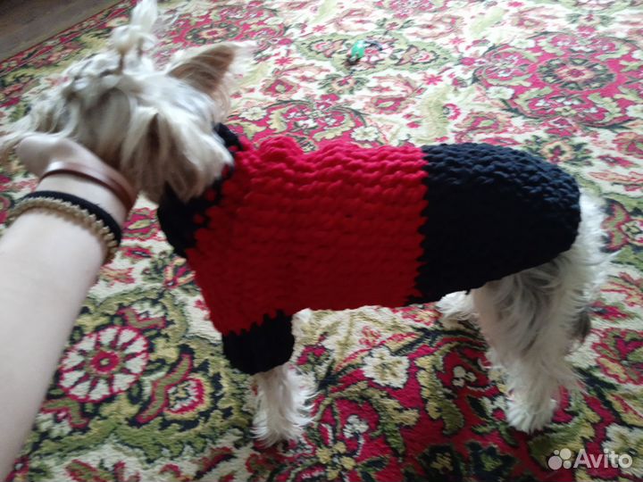 Вязаная кофточка для собачки маленькой породы