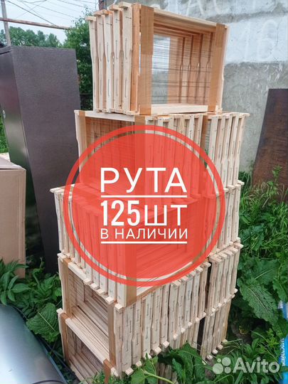 Рамки для ульев пчелорамки с проволокой / вощиной