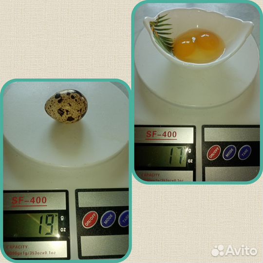 Яйца перепелиные