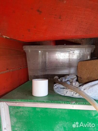 Клетка для перепелов