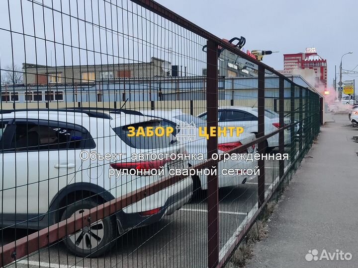 Забор из сварной рулонной сетки, Кобона, пвх