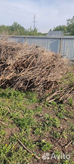 Ветки деревьев под дрова бесплатно самовывоз