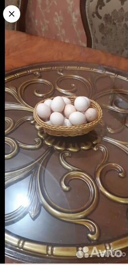 Домашние куриные яйца