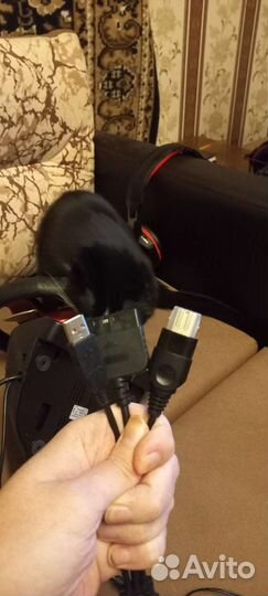 Игровой руль с педалями Genius Trio Racer FF