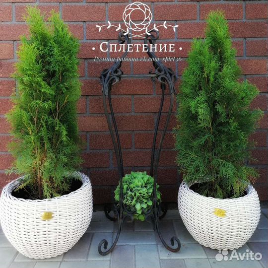 Кашпо плетеное