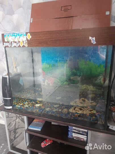 Аквариум с тумбой 200 литров