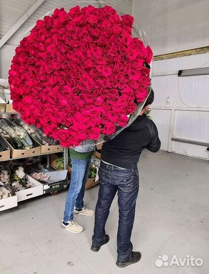 Розы Цветы Букеты 25 51 151 201 101 301 501 опт