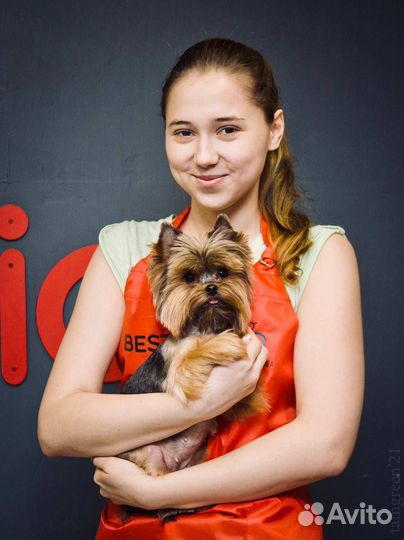 Стрижка собак и кошек на дому