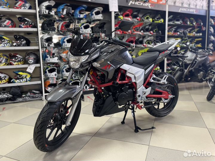 Regulmoto Raptor new