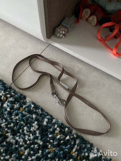 Поводок для маленьких собак и кошек