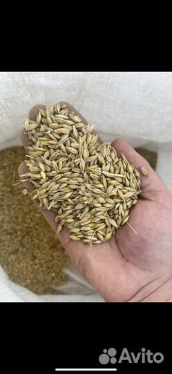 Зерно оптом в мешках