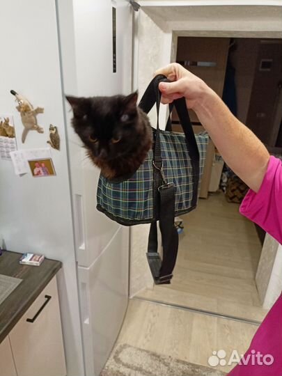 Сумка для животных