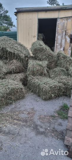 Сено в брикетах