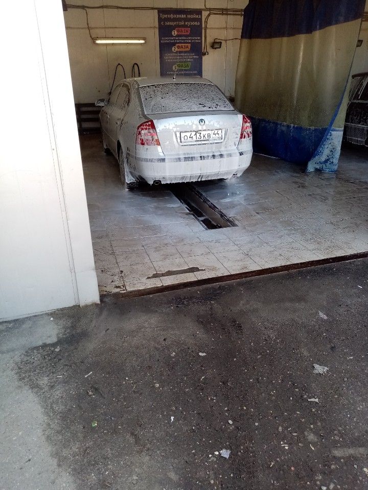 Skoda Octavia: фото владельца
