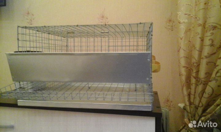 Клетки для перепелов