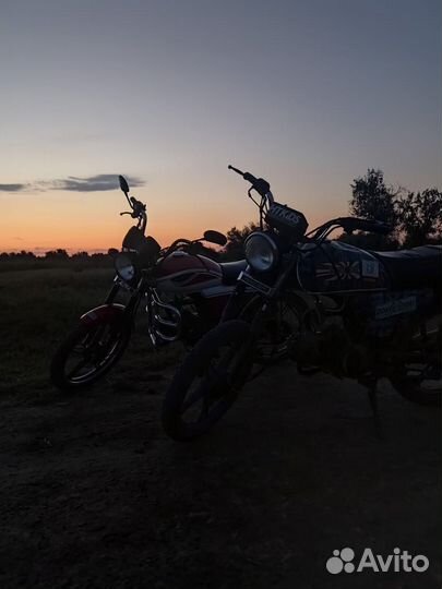 Альфа рейсер