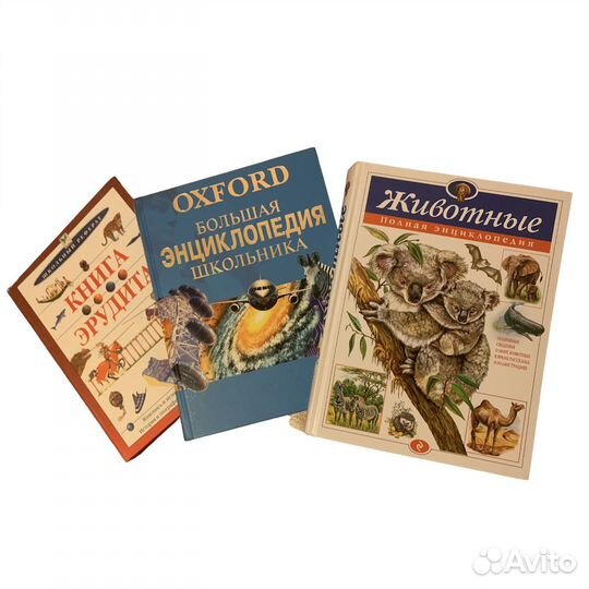 Энциклопедия