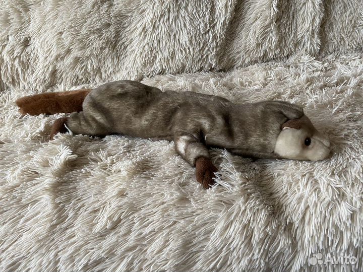 Хорек из IKEA