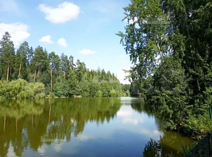 Участок 1,23 га (ИЖС)