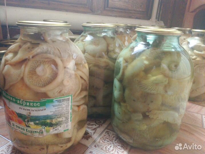 Грибы белые маринованые