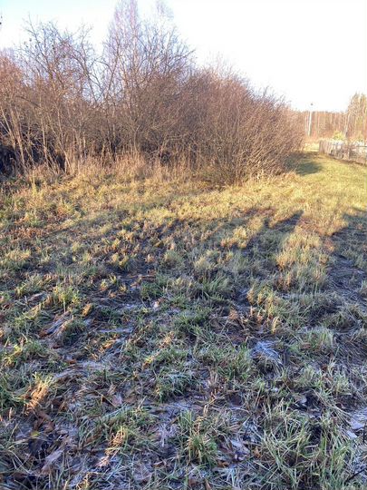 Дом 72 м² на участке 10 сот.