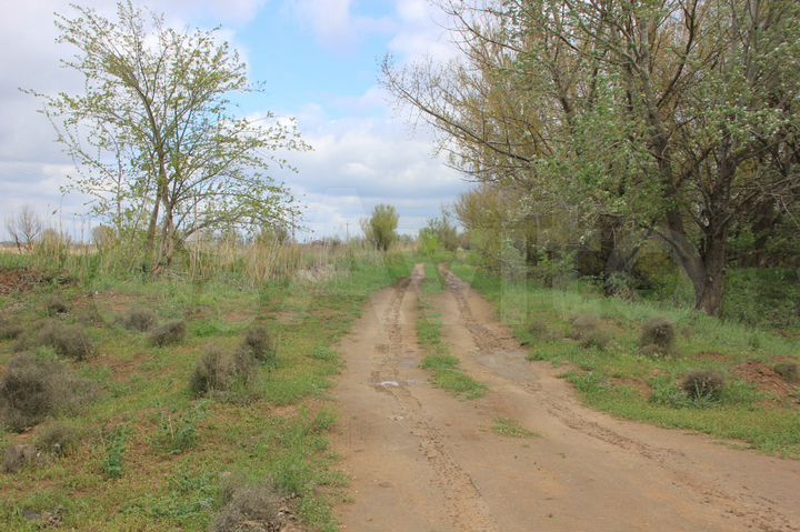 Участок 10 сот. (СНТ, ДНП)