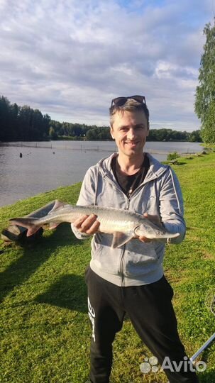 Платная рыбалка и отдых на озере в Подмосковье