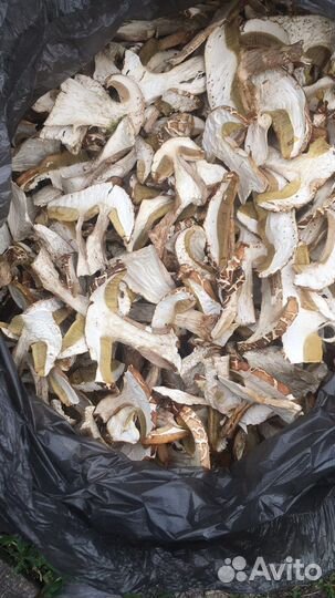 Грибы белые сушеные