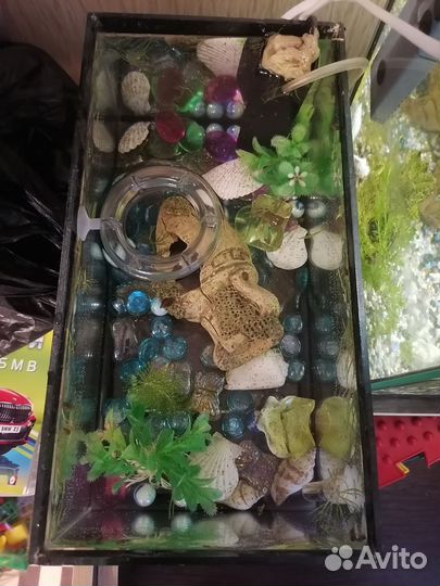 Аквариум объем 10 литров