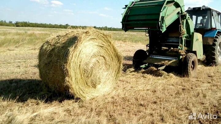Сено в рулонах