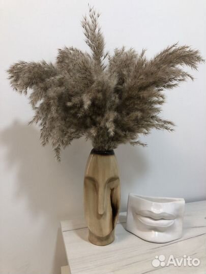 Пампасная трава